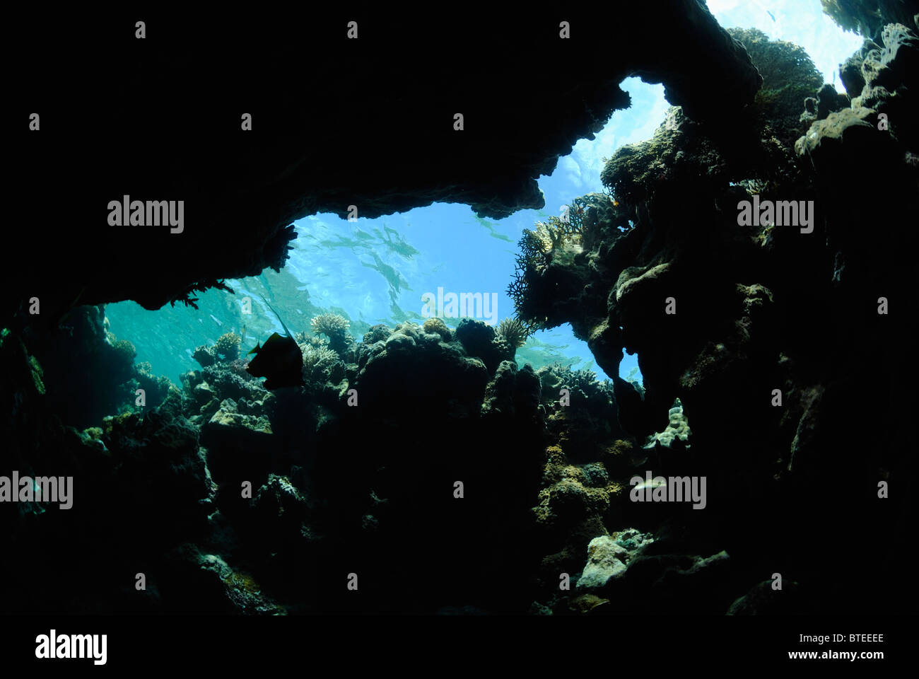 Cueva submarina en el Mar Rojo, fuera de Safaga, Egipto. Foto de stock