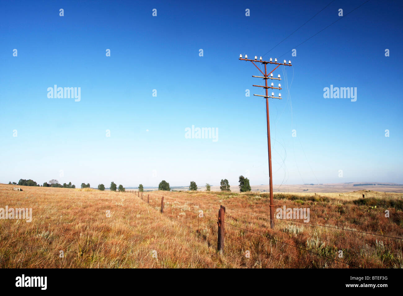 Vista escénica en praderas secas y poste telefónico en el enfoque de Dullstroom Foto de stock