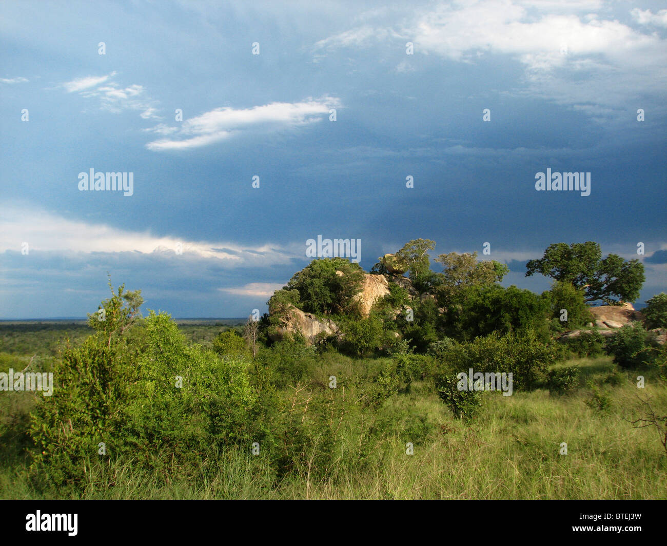 Vista escénica de granito koppies en el sur del Parque Nacional Kruger Foto de stock
