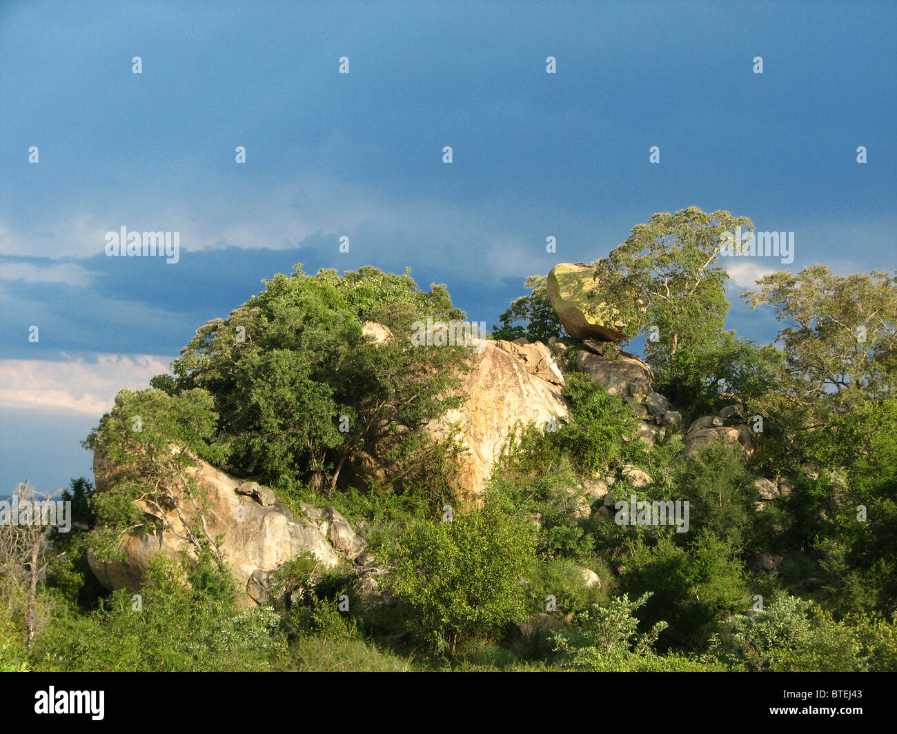 Vista escénica de granito koppies en el sur del Parque Nacional Kruger Foto de stock
