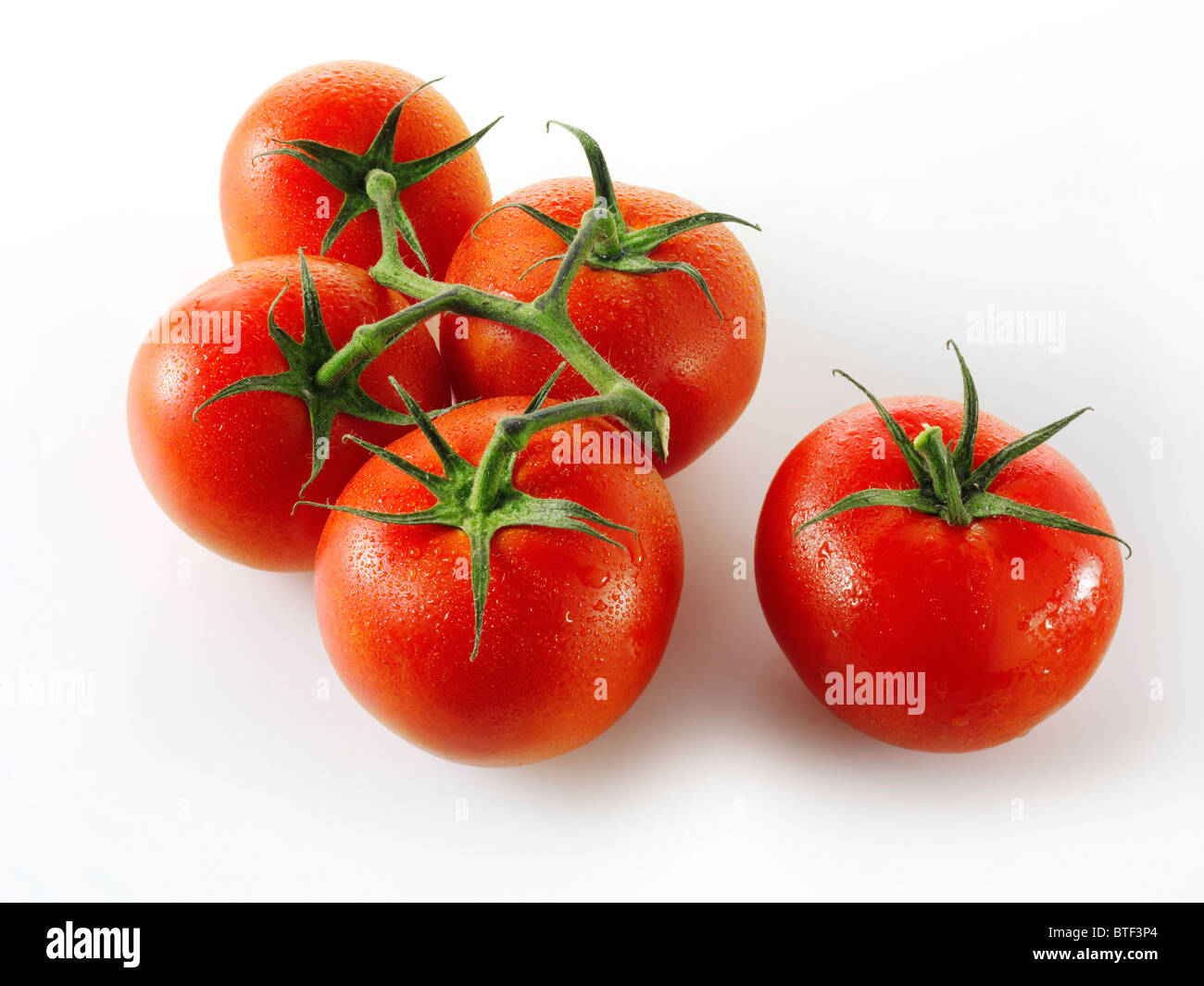 Jubileo vid tomates Foto de stock