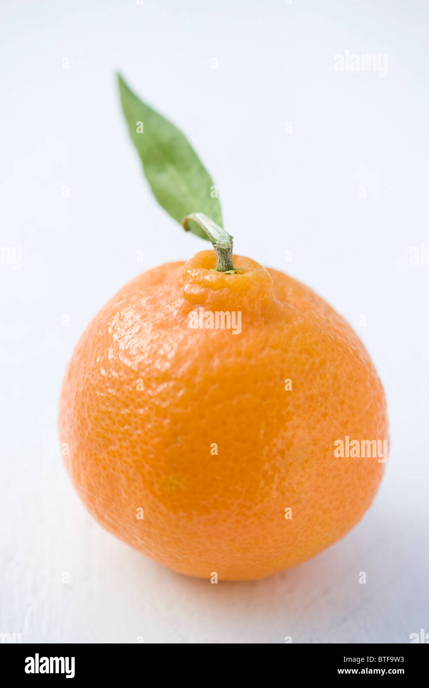 Naranja Foto de stock