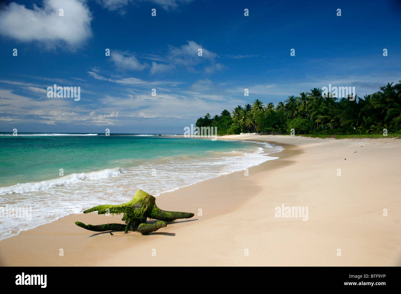 Playa cerca de Galle, Sri Lanka. Foto de stock