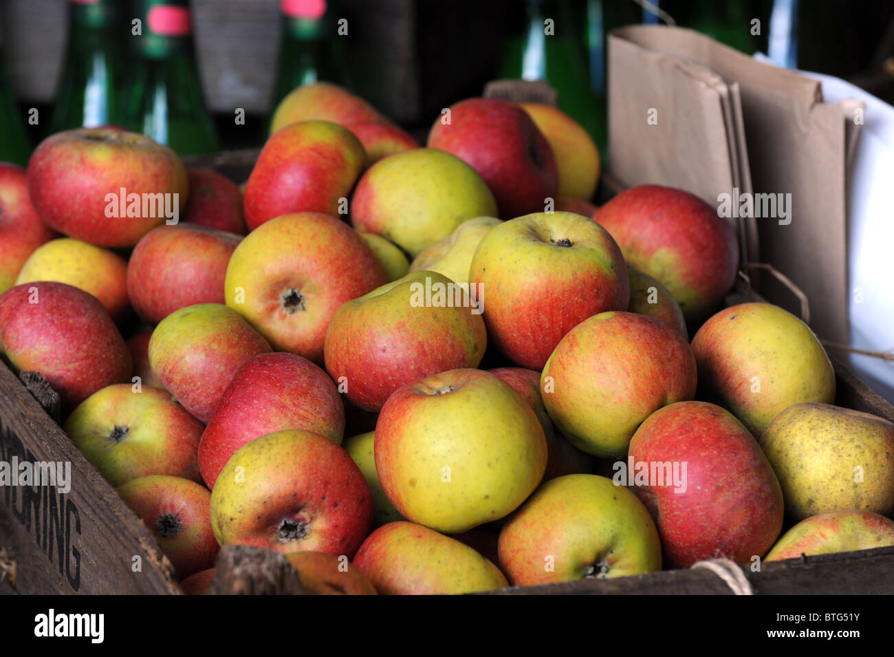 Corte Pendu Plat manzanas en pantalla durante el Festival de la manzana en Oriente Granja en Sussex Foto de stock