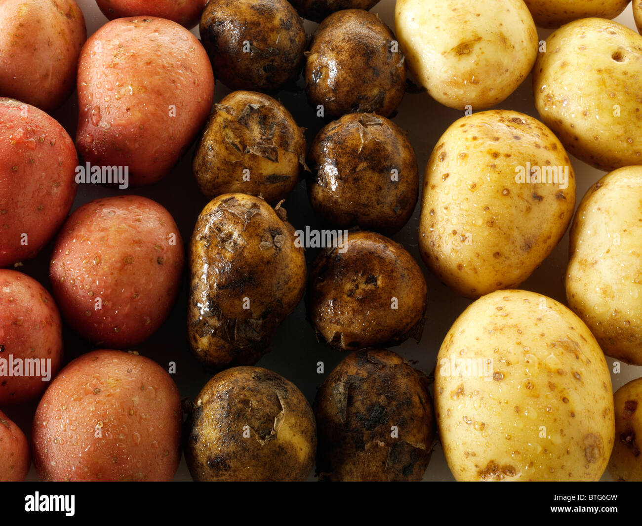 Fresco mixta ONU-patatas cocidas Foto de stock