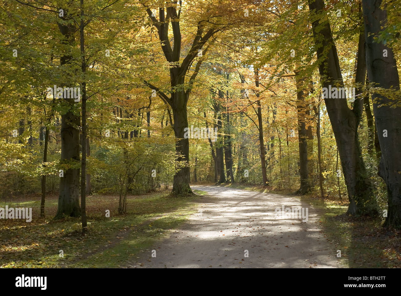 País por carretera a través de colorido paisaje del otoño Foto de stock