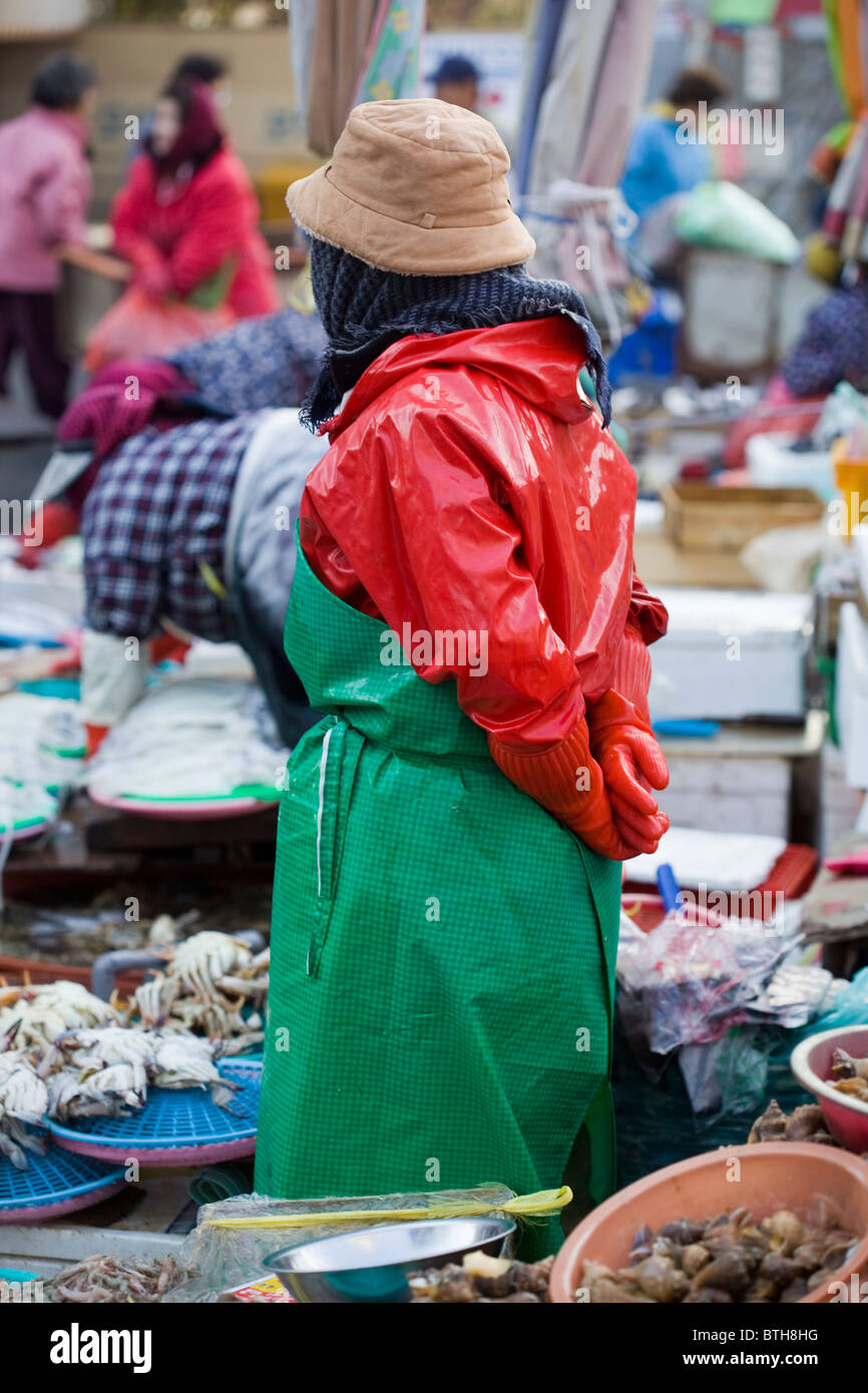 Mercado de pescado de Jagalchi de Busan Corea del Sur Foto de stock