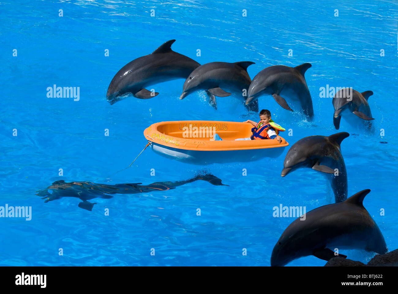 Los niños jugando con los delfines Foto de stock