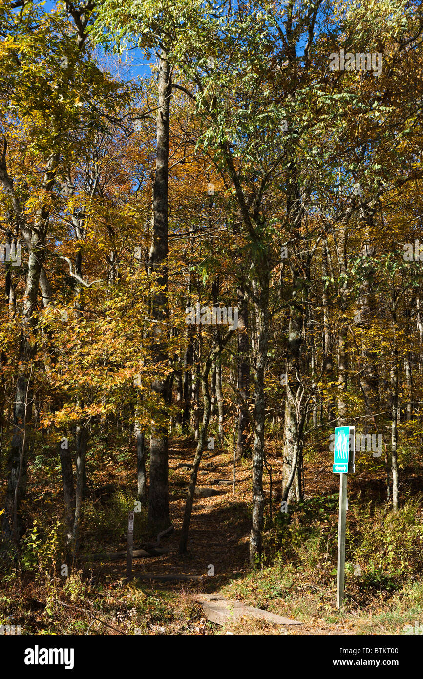 El Appalachian Trail en Hog Pen brecha a Richard Russell Scenic Highway (348), Chattahoochee National Forest, en el norte de Georgia, EE.UU. Foto de stock