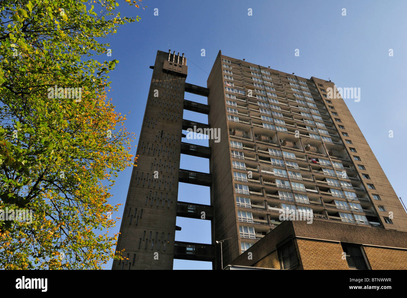Torre, Balfron Brownfield inmobiliaria de vivienda social, álamos, Tower Hamlets, East London E14, Reino Unido Foto de stock