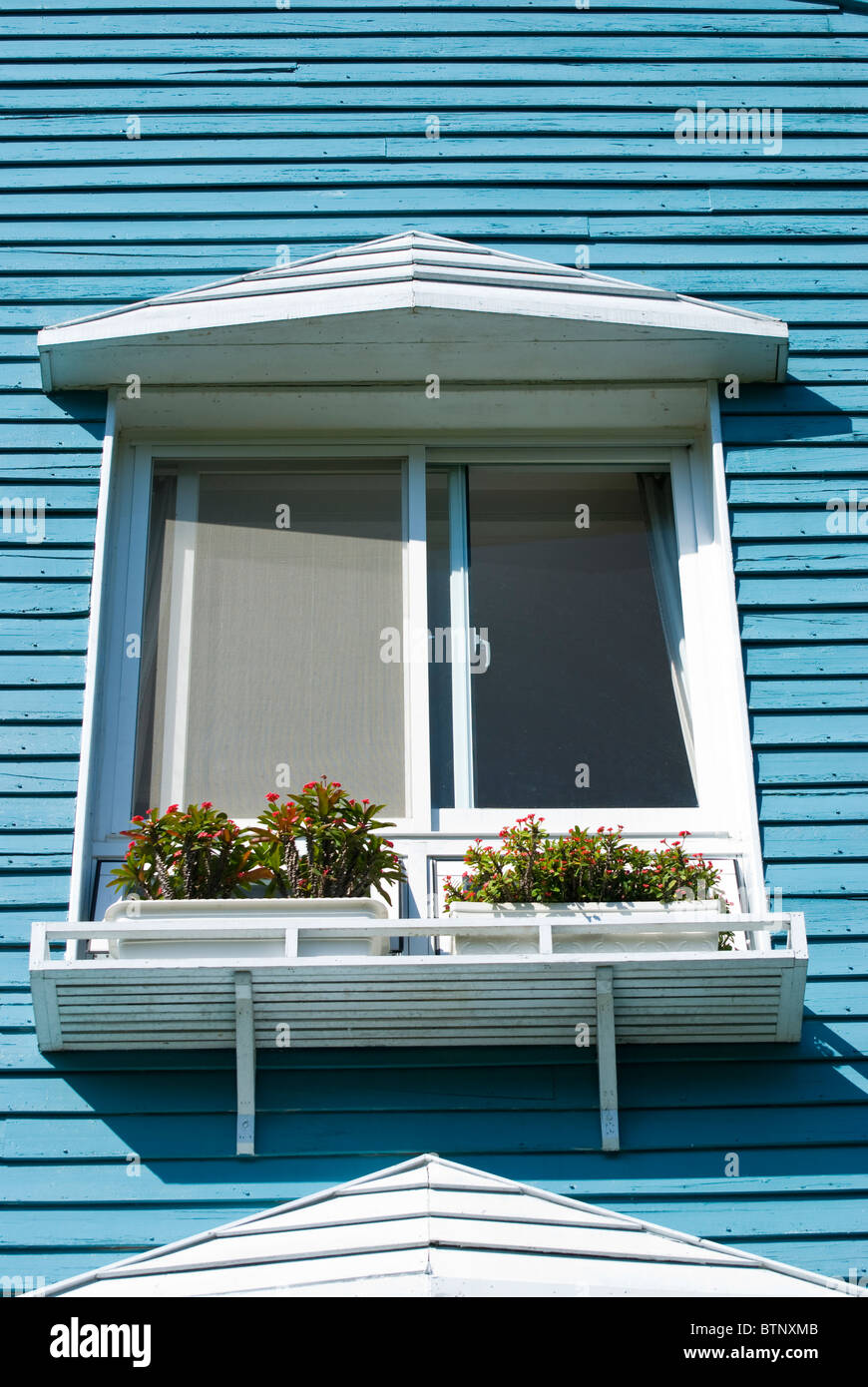 Pequeño balcón con flores en azul de pared de madera Foto de stock