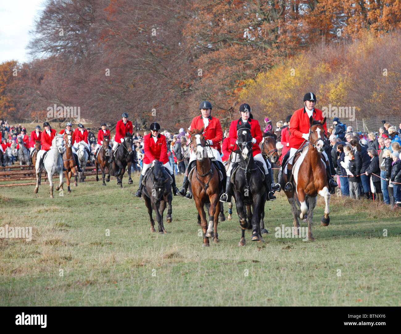 El Hubertus caza en rojo, blanco y colores dorados en Dyrehaven justo al norte de Copenhague, Dinamarca. Foto de stock