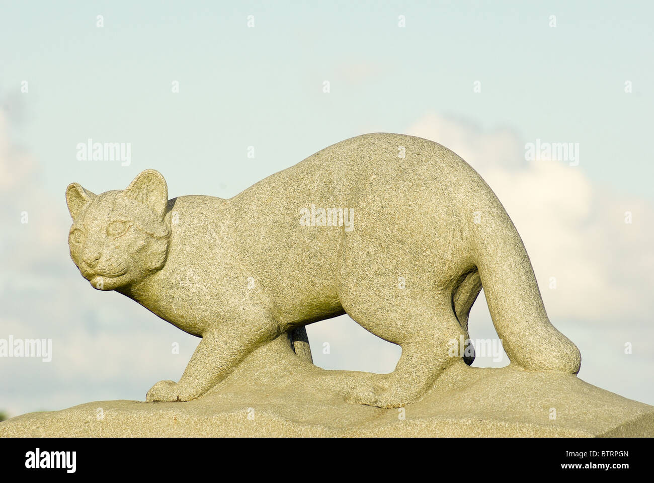 Figura de piedra de un gato montés Iriomote en la carretera 219, Isla de  Iriomote, Japón Fotografía de stock - Alamy