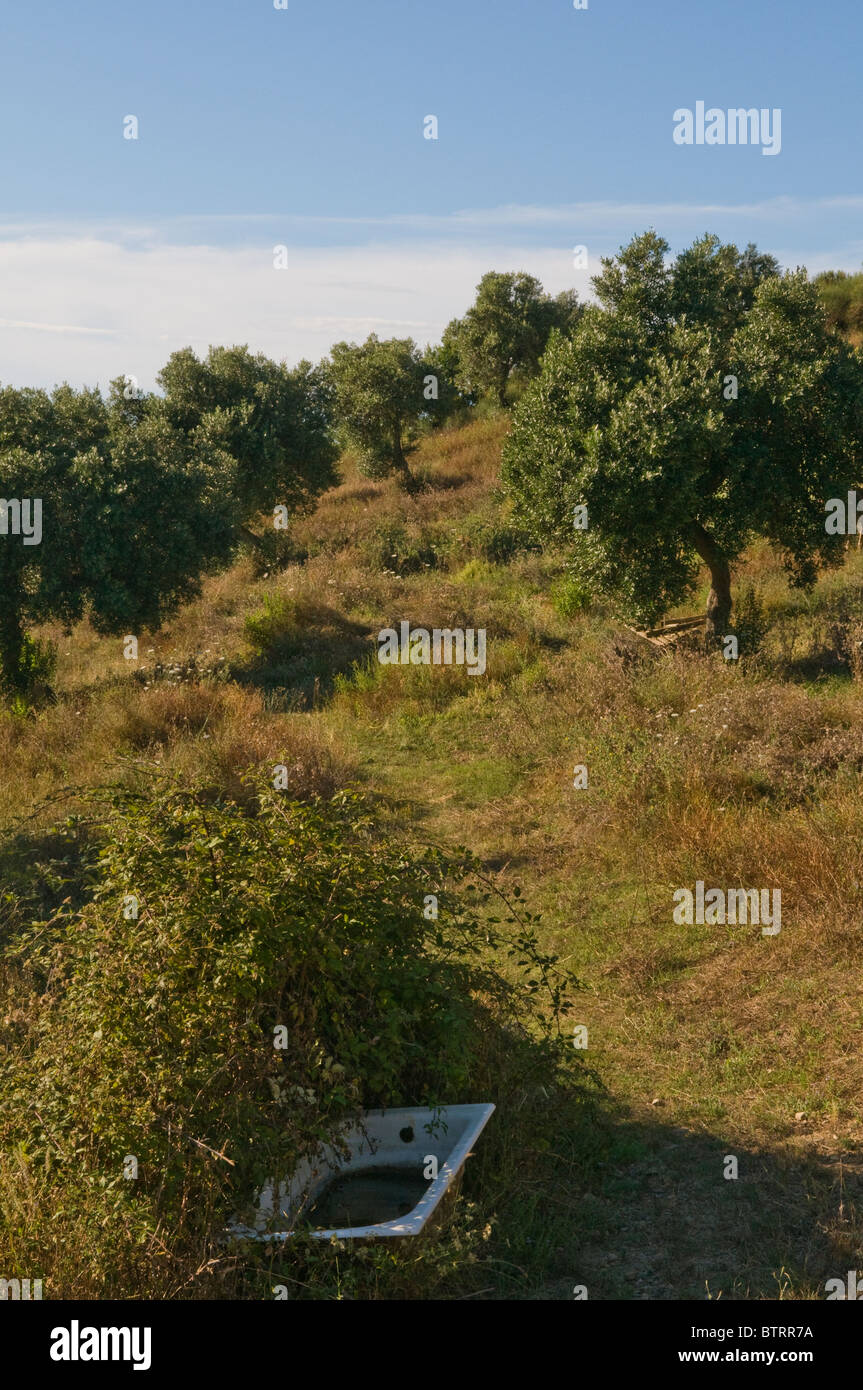 Paisaje en el Cilento, en el sur de Italia Foto de stock