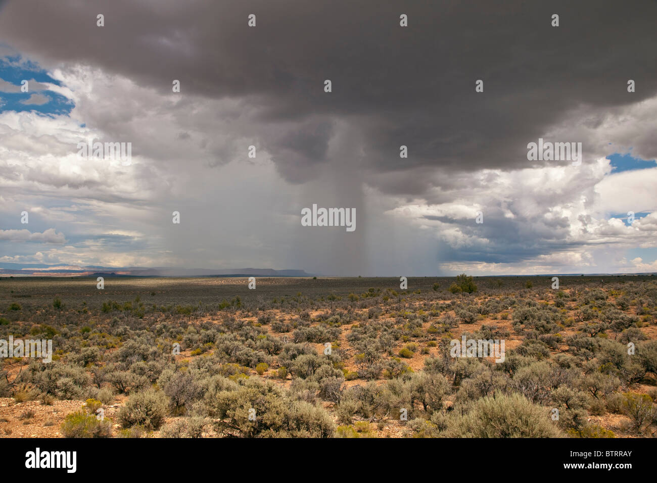 Tormenta de verano con eje aislado de caer la lluvia, el desierto de