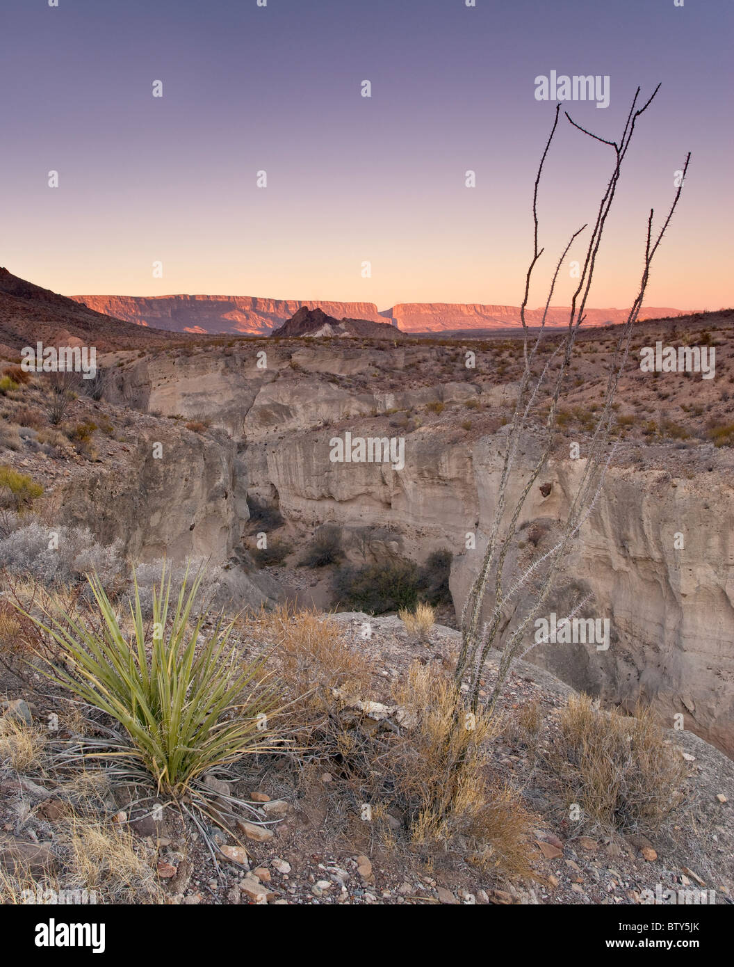 Cañón de toba, con cañón de Santa Elena en la lejanía al amanecer, el desierto de Chihuahua en el Parque Nacional de Big Bend, Texas, EE.UU. Foto de stock