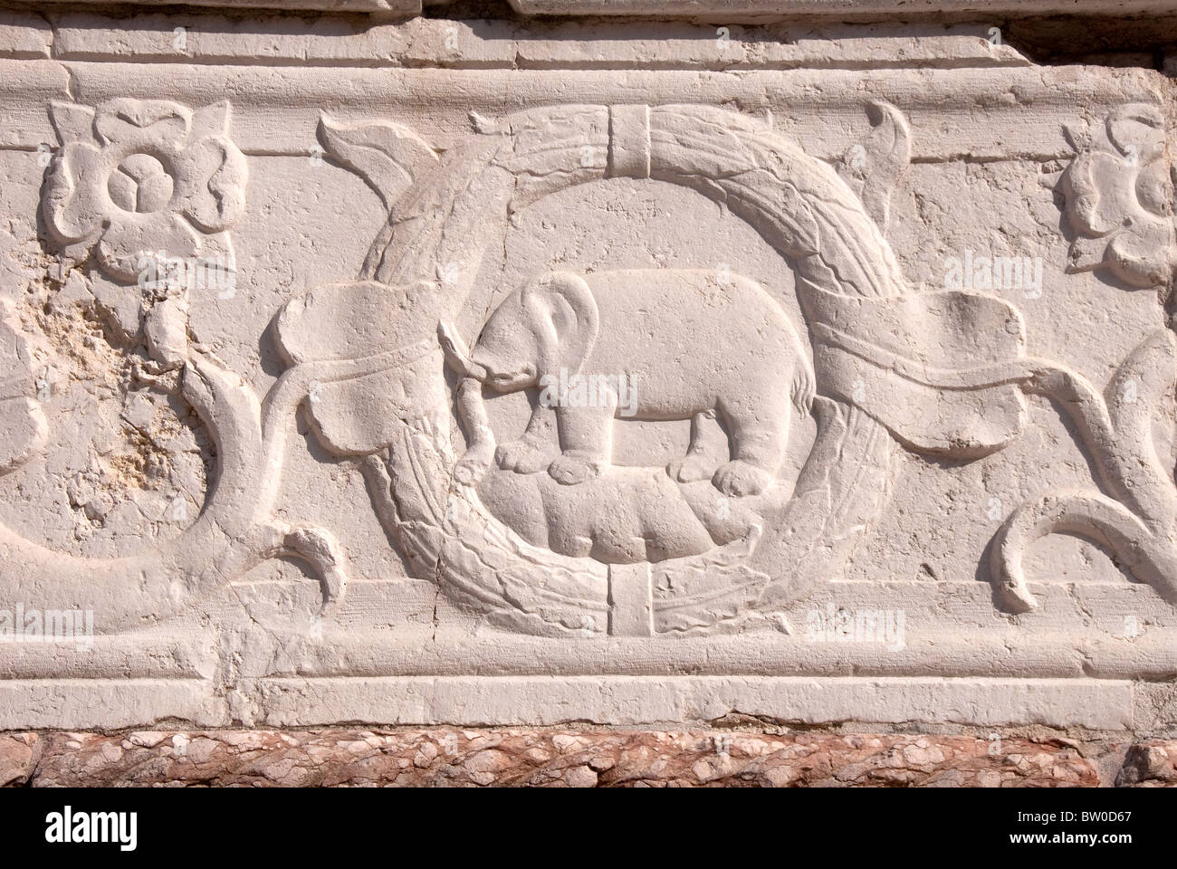 El símbolo de elefante tallada de Sigismondo Malatesta en la fachada del Tempio Malatestiano, iglesia catedral de Rimini, Italia Foto de stock