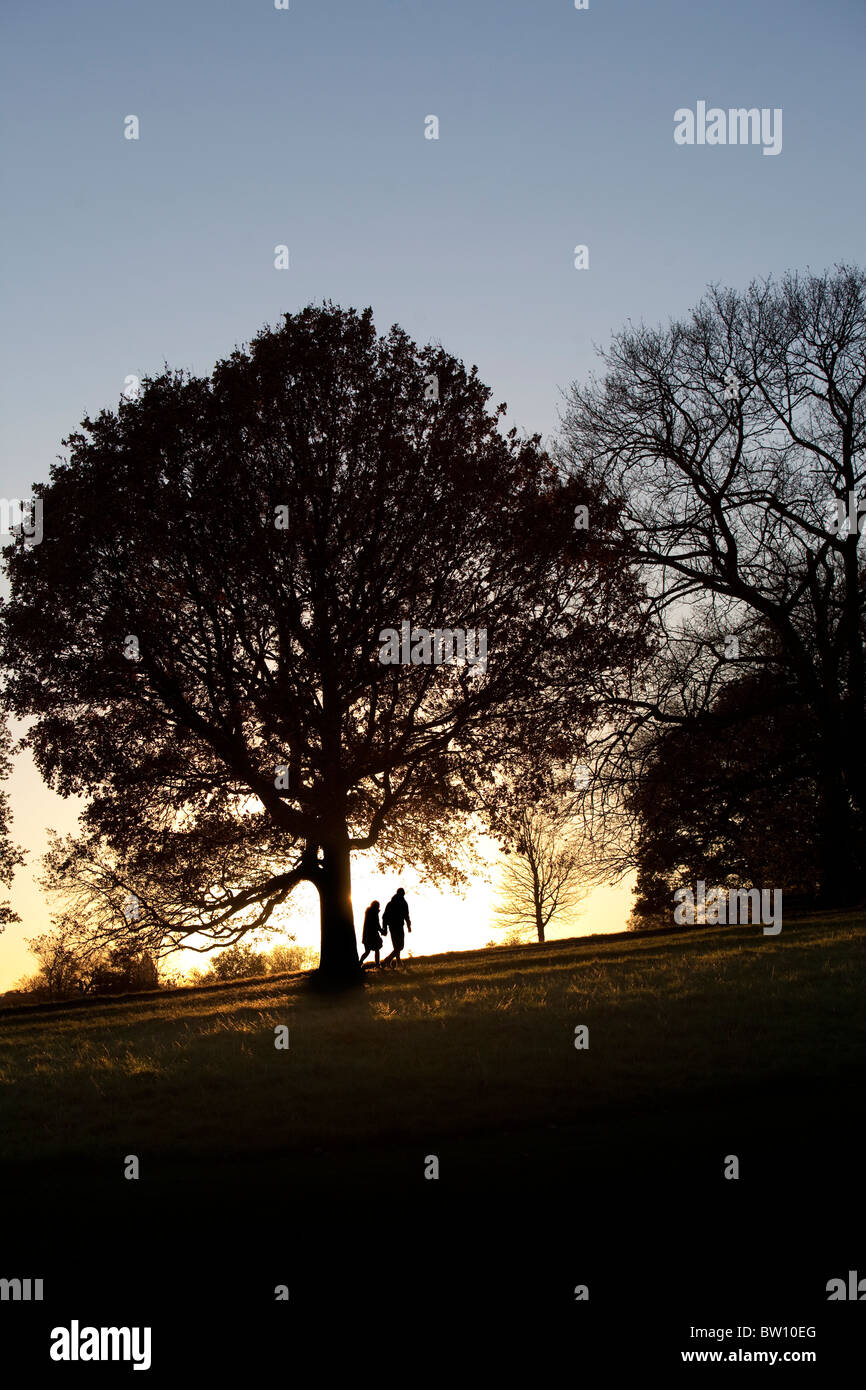 Un brillante cielo de invierno invernal contornos de árboles en la ladera de una colina, en el famoso parque de Londres, Hampstead Heath. Foto de stock