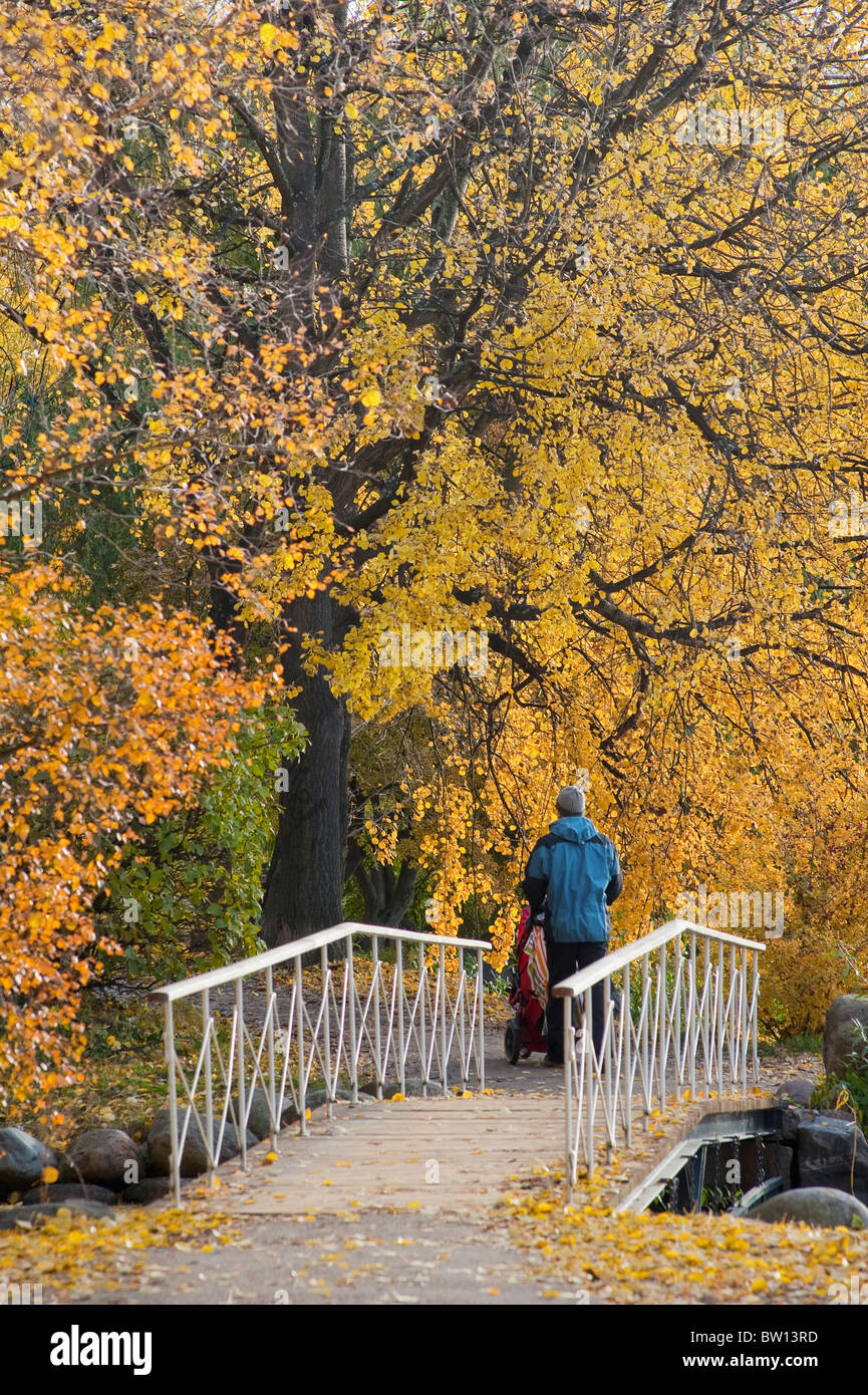 Hombre caminando con un cochecito de bebé, la temporada de otoño, Estocolmo, Suecia, Europa Foto de stock