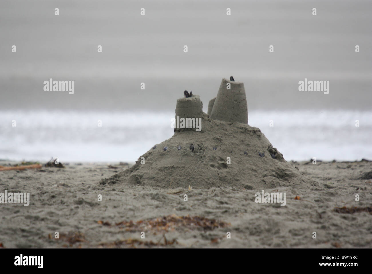 Castillo de arena en la playa de Tofino, en la isla de Vancouver, BC, Canadá Foto de stock