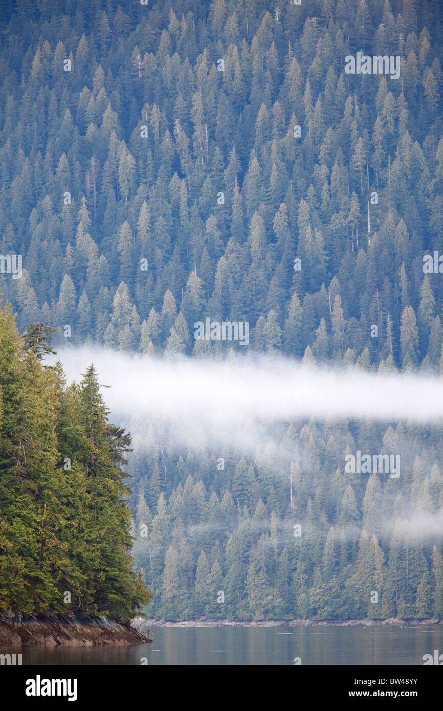 Great Bear Rain Forest British Columbia Canadá Foto de stock