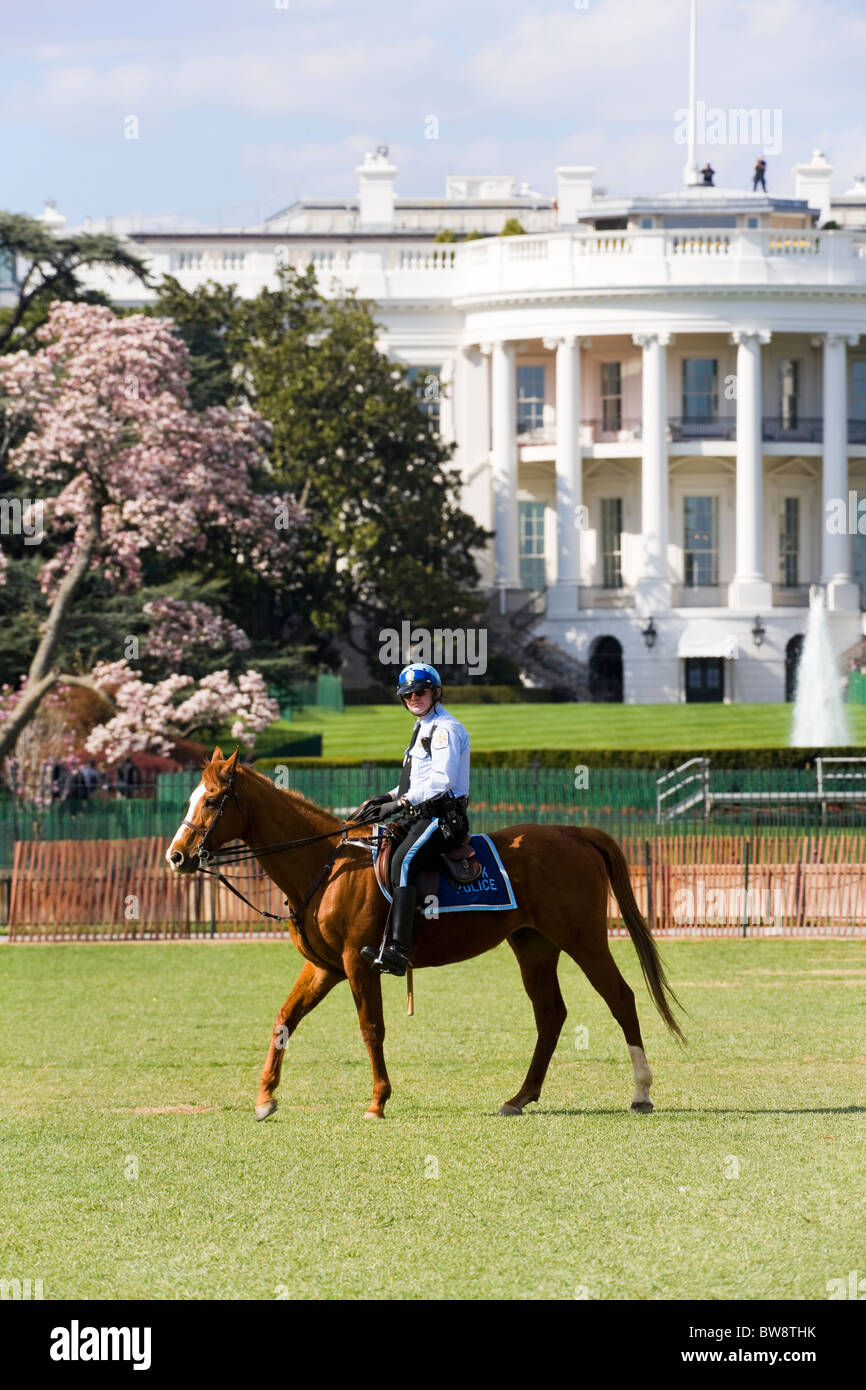 La Casa Blanca de Washington DC. Dos hombres del Servicio Secreto en el techo. Un oficial de policía de estacionamiento montado patrullando el jardín en primavera Foto de stock