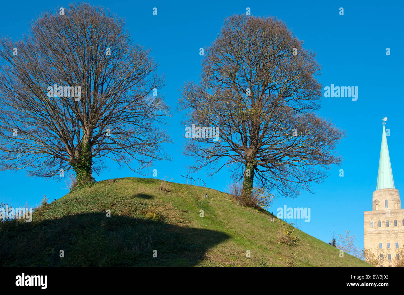 Dos árboles creciendo en Oxford Castle Montículo con el Nuffield College Spire, en el fondo, de Oxford, Inglaterra, Reino Unido. Foto de stock