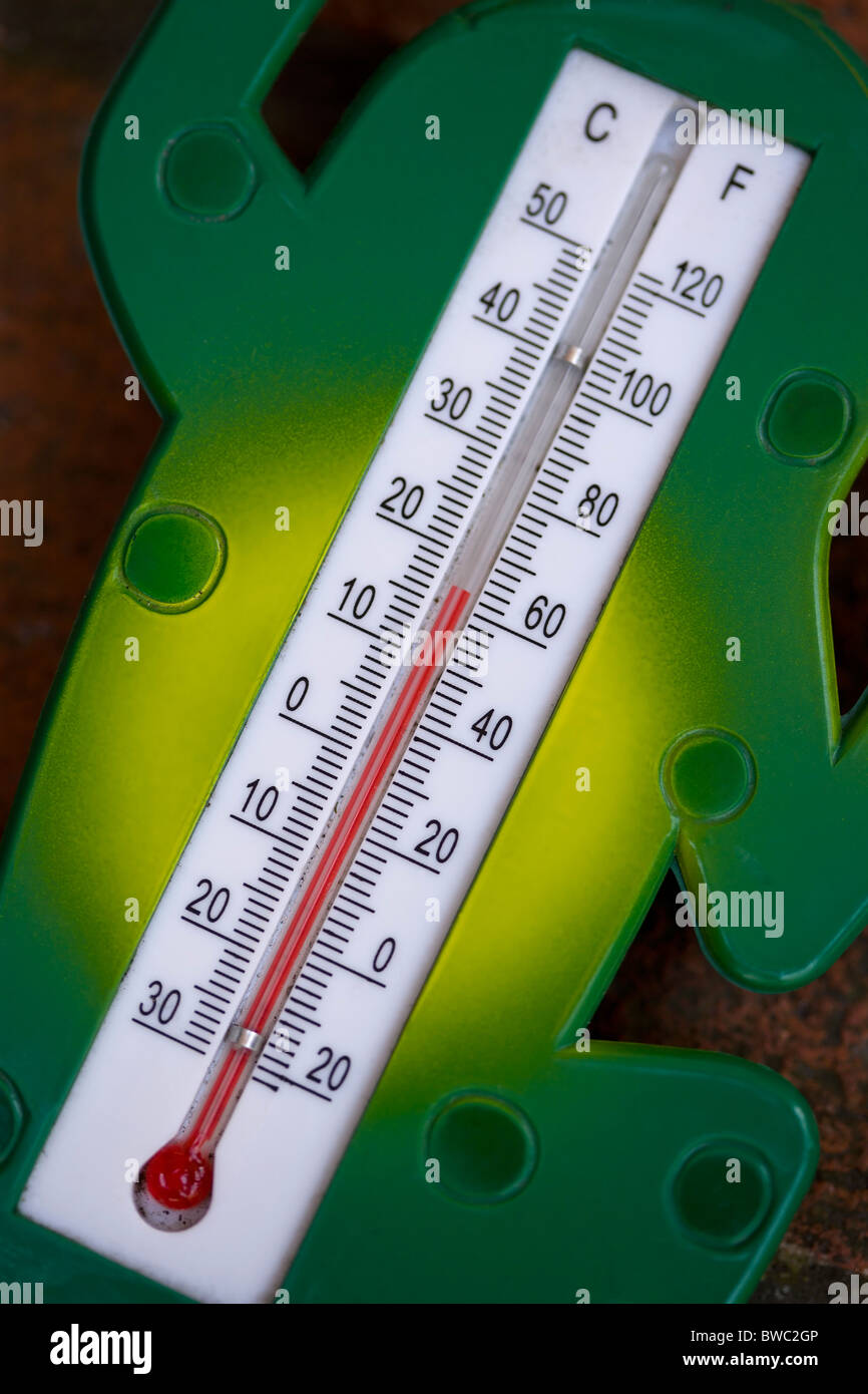 Clima, medición, instrumentos, en grados Celsius y Fahrenheit alcohol rojo termómetro exterior en el jardín. Foto de stock