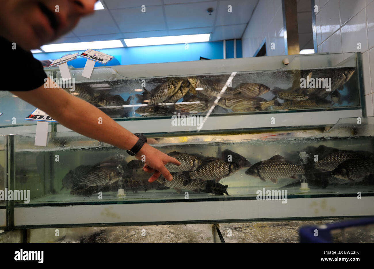 Los peces vivos están en venta en Tesco, Qingdao, Provincia de Shandong, China. 11-Nov-2010 Foto de stock