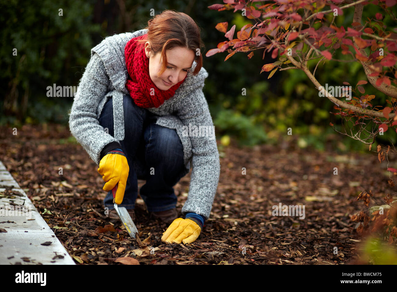 Mujer trabajando en el jardín de otoño Foto de stock