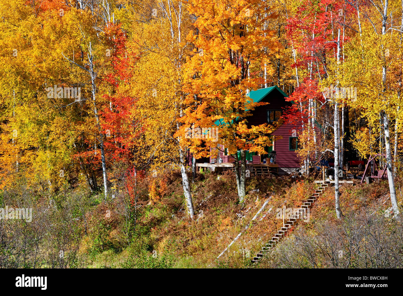 Cabaña rural enmarcadas por brillantes colores de otoño en la Península Superior de Michigan. Foto de stock