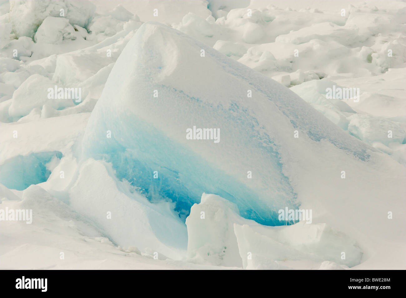 Pequeños iceberg atrapados en fast hielo Erebus y terror Golfo