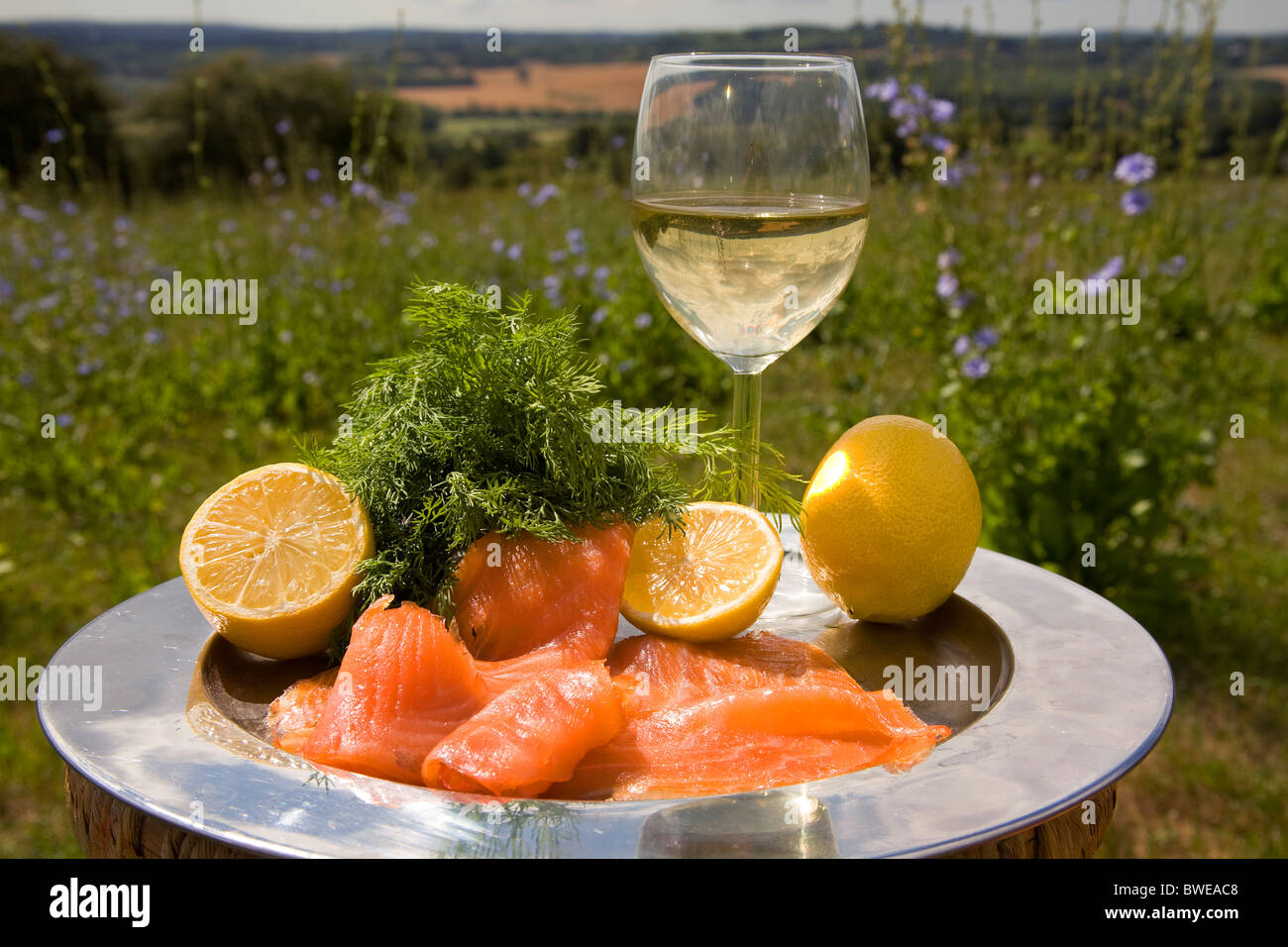 Apetitoso salmón ahumado, eneldo y limón con vino blanco en bandeja de plata en el paisaje de interior de verano en Kent UK Foto de stock
