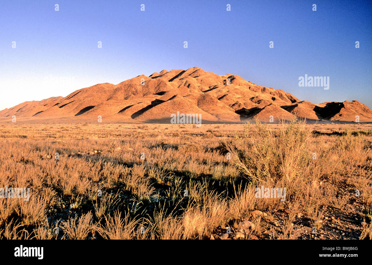 Paisaje paisaje Namibia África África Sudoccidental montañas estructuras tarde humor desierto hierba dorada ste Foto de stock