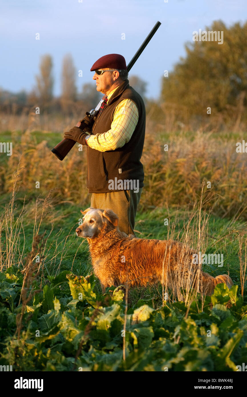 Un Shooter (GUN) y a su perro a la espera de la caza de aves se elevó en un rodaje, Cambridgeshire, Reino Unido Foto de stock