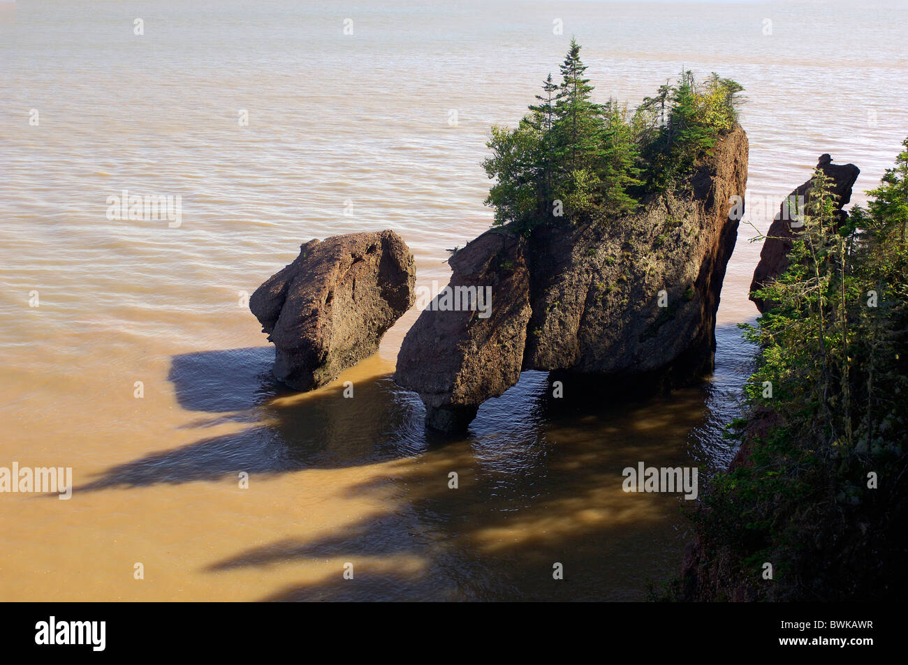 Maceta rocas rock cliff erosión formas acantilado acantilado esculturas marea mareas inundan el paisaje paisaje litoral s Foto de stock