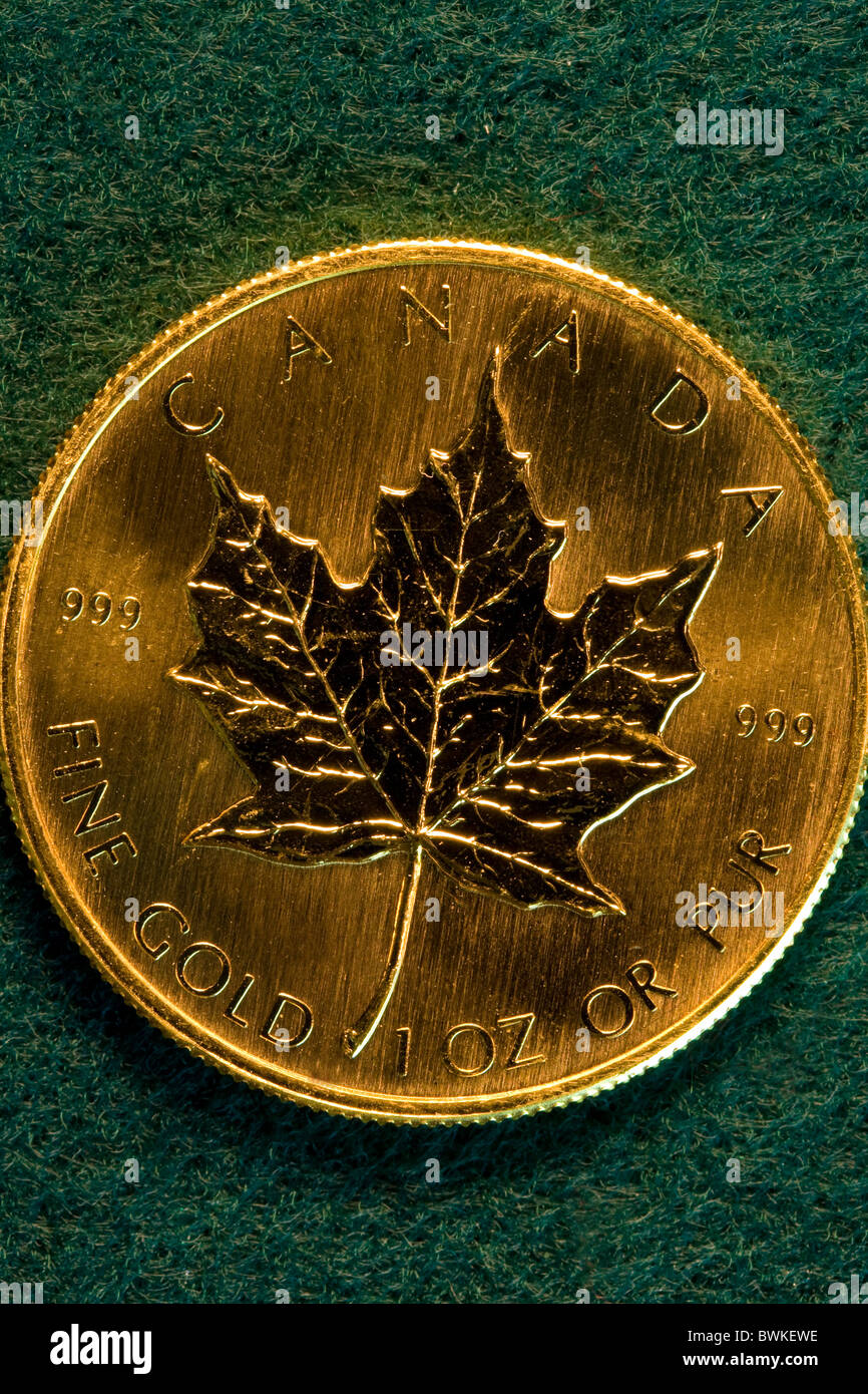 Canada un dolar moneda de oro fotografías e imágenes de alta resolución -  Alamy