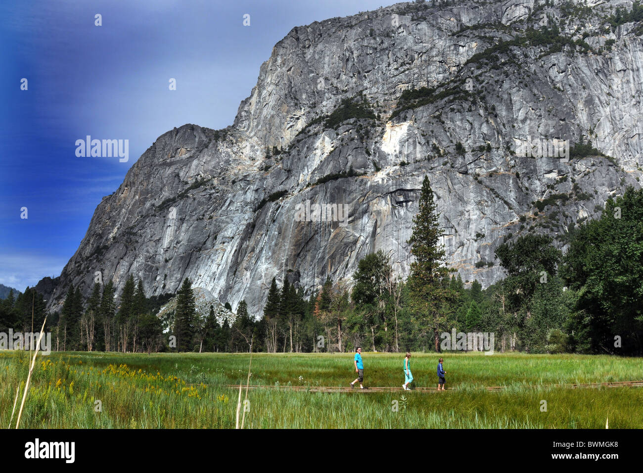 Valle de Yosemite, una pradera de verano y el Half Dome Foto de stock