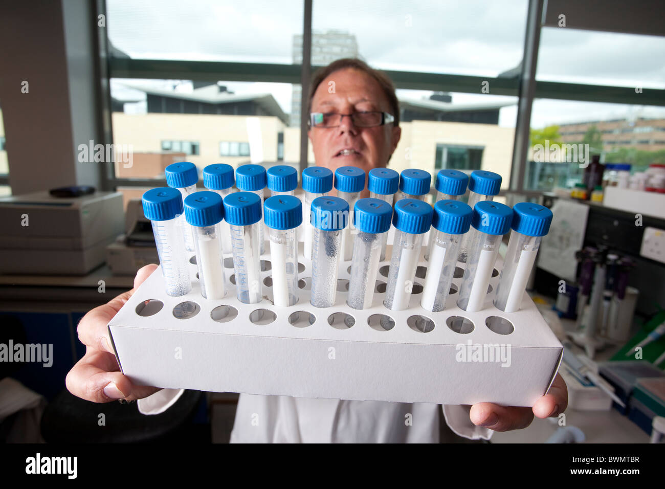 El Profesor David Prichard espécimen científico cápsulas conteniendo el parásito anquilostomiasis Universidad de Nottingham. Foto:Jeff Gilbert Foto de stock