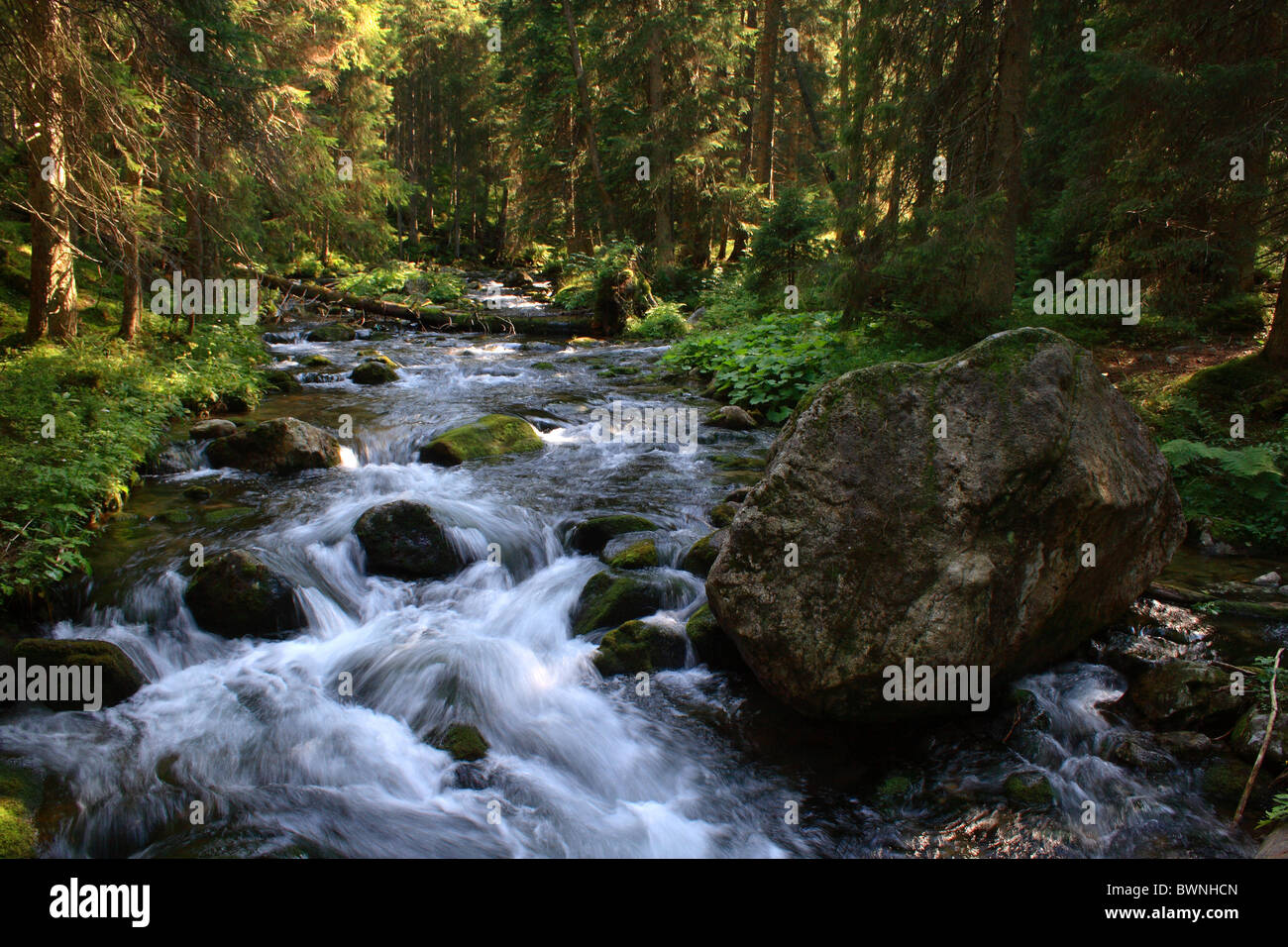 Rybi Potok - stream en las Montañas Tatra, Polonia Foto de stock