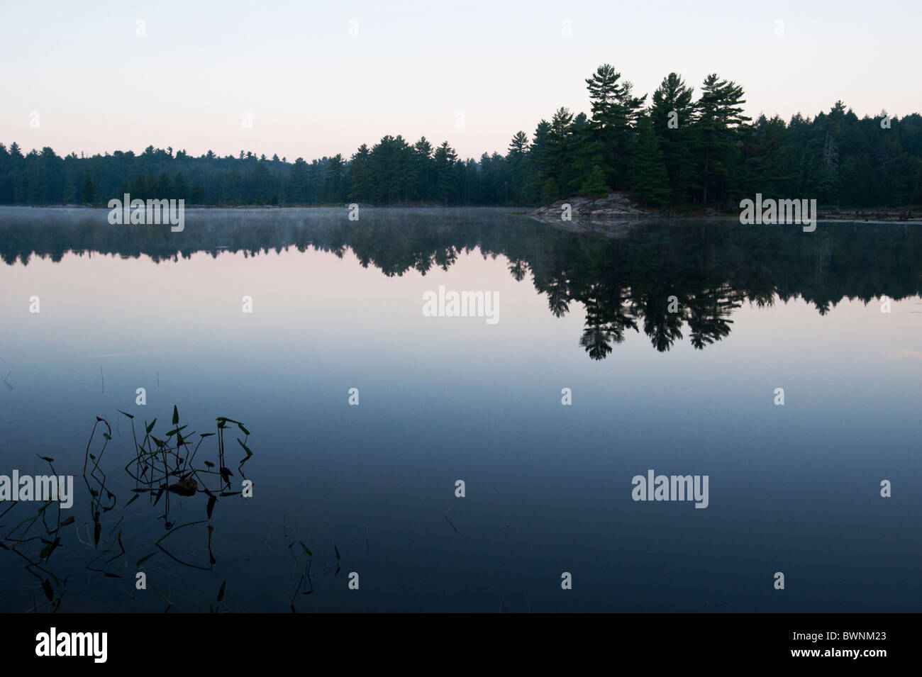 Bálsamo Lago con granito rojo Escudo Canadiense y pinos en la distancia al amanecer. Foto de stock
