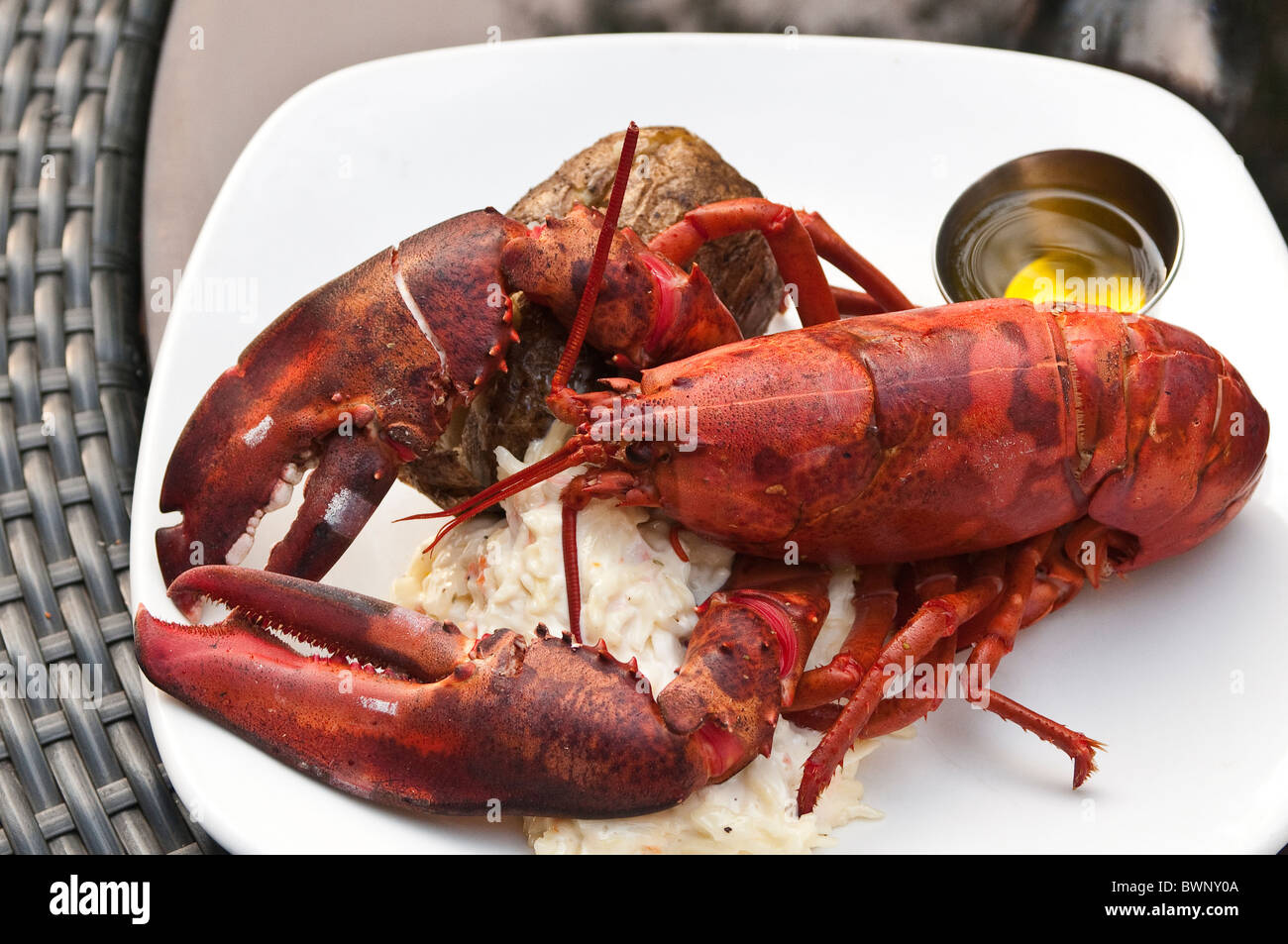 Red lobster restaurant fotografías e imágenes de alta resolución - Página 8  - Alamy