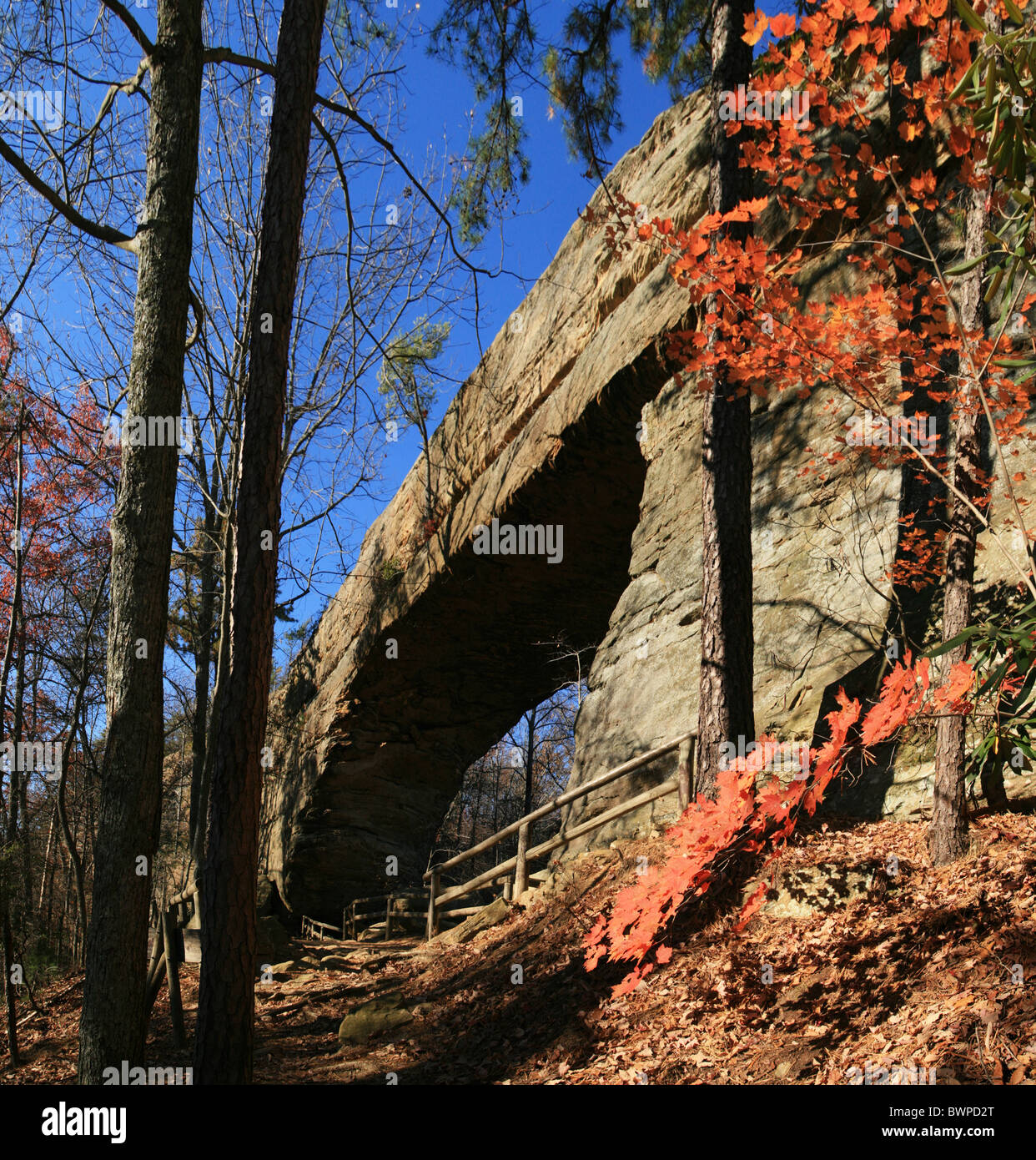 Puente en arco natural de Roca Natural Bridge State Park en Kentucky Foto de stock