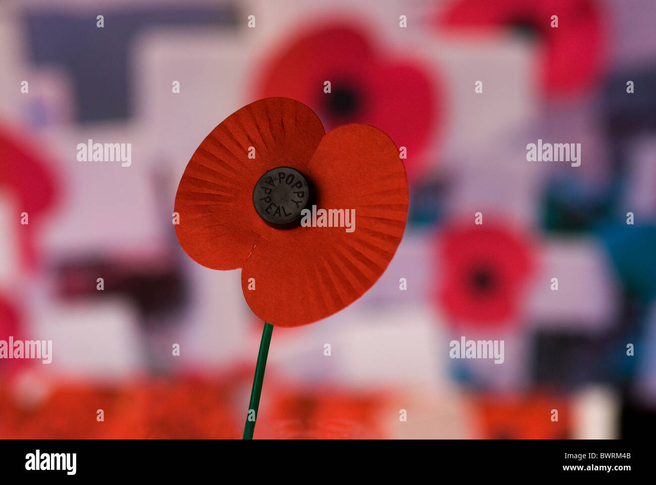 Recuerdo De La Guerra Mundial Con El Cierre De Una Flor De Amapola Imagen  de archivo - Imagen de mezquita, memorias: 257869615
