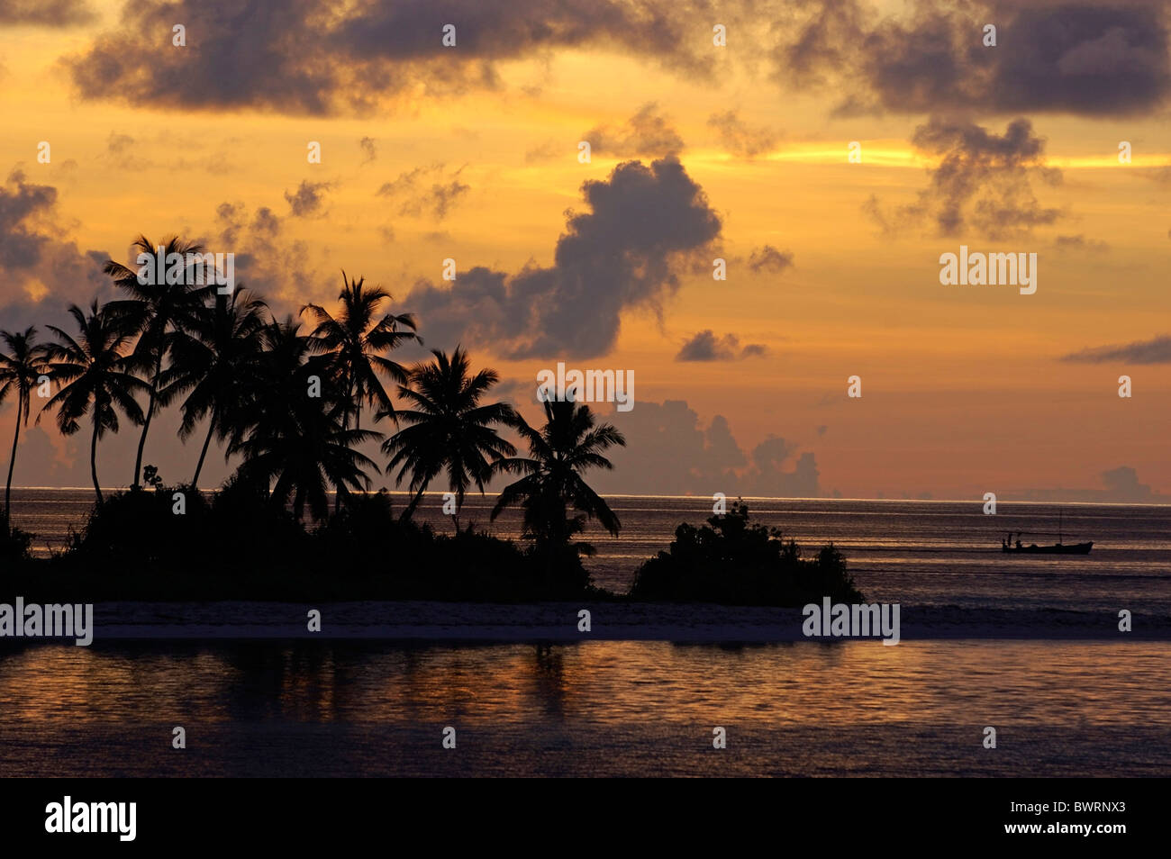 Siluetas de palmeras que bordean la playa al amanecer, Maldivas. Foto de stock