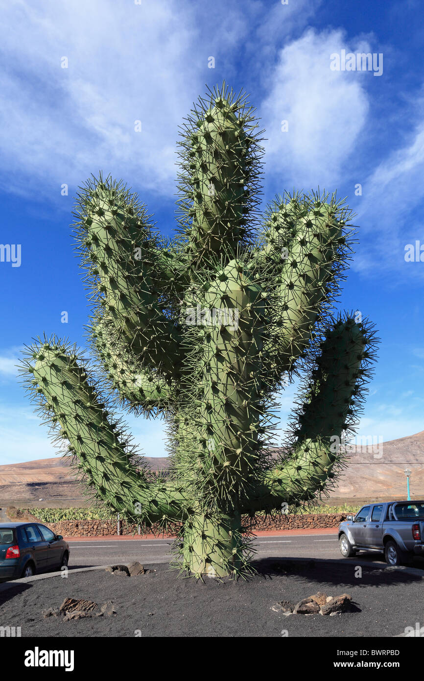 Iron Cactus escultura en frente de un jardín de cactus, el jardín de