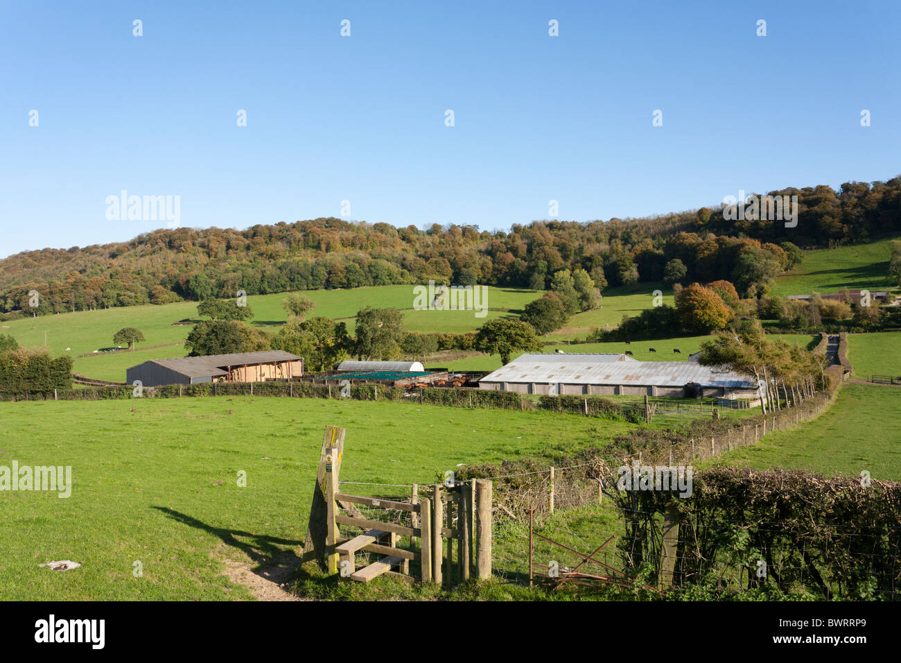 El Cotswold forma entre la leva larga abajo y Crawley graneros, al este de Cam, Gloucestershire Foto de stock
