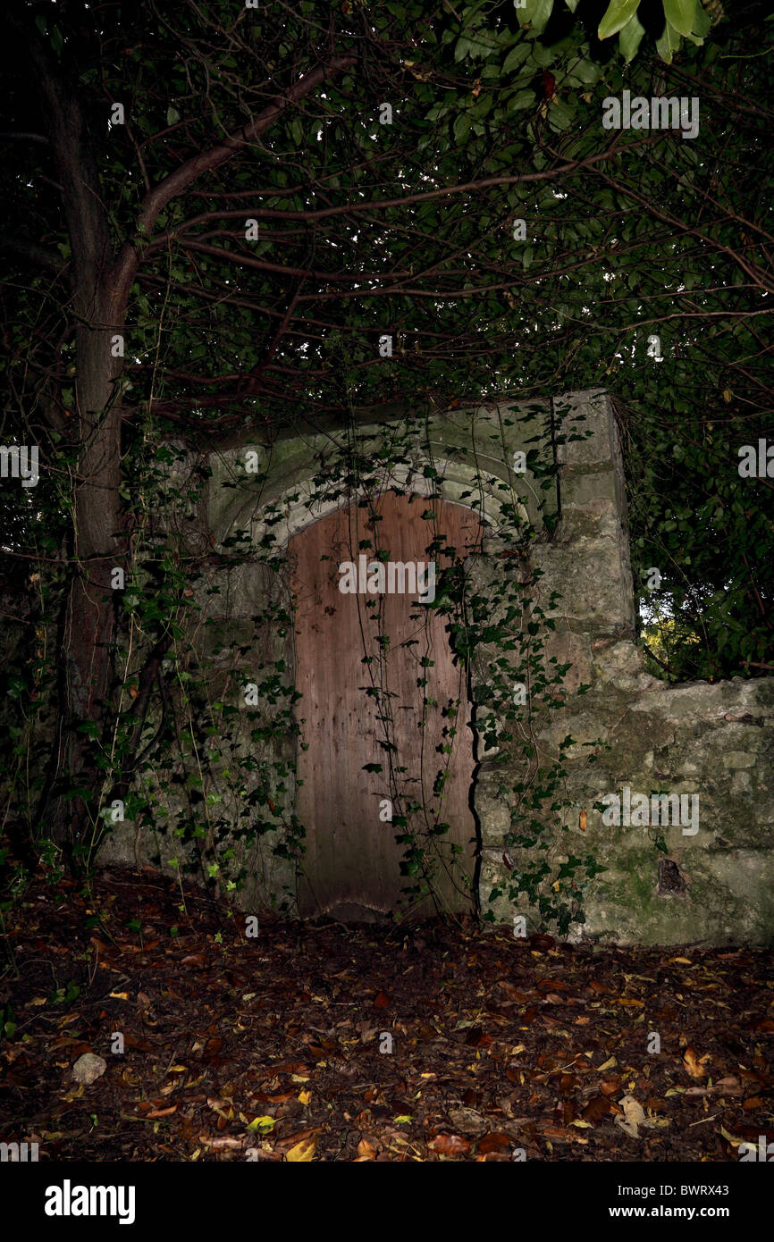 Puerta secreta en la pared del bosque por linterna. Foto de stock
