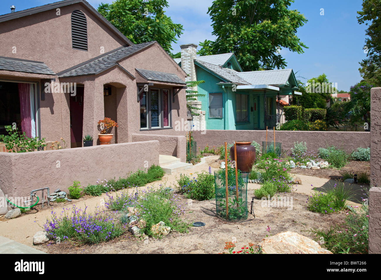 Jardín tolerantes a la sequía, Atwater Village, Los Ángeles, California, Estados Unidos. Foto de stock