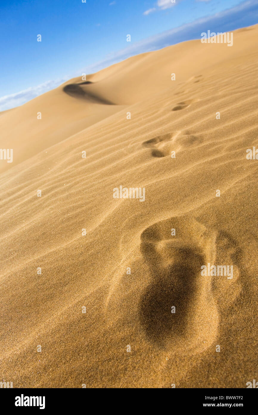 Huellas en la arena de las dunas. Foto de stock